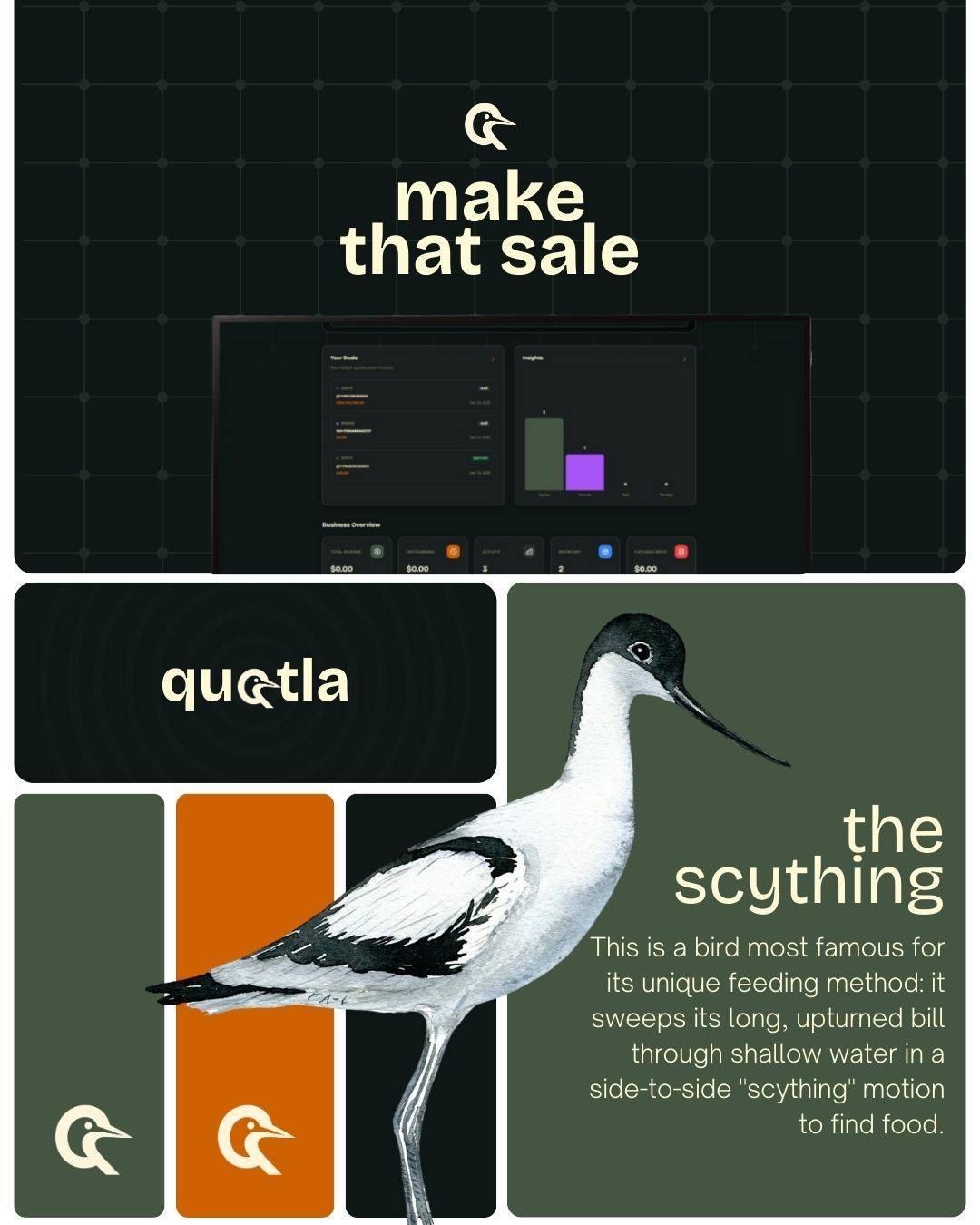 Quotla brand guide
